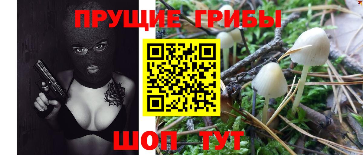Галлюциногенные грибы MAGIC MUSHROOMS Ессентуки