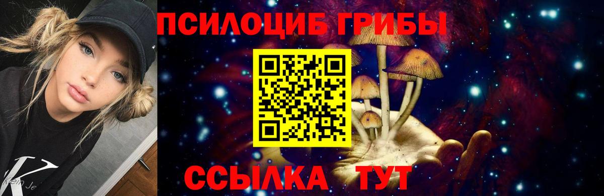 Псилоцибиновые грибы Psilocybe  Вход с VPN  Ессентуки 